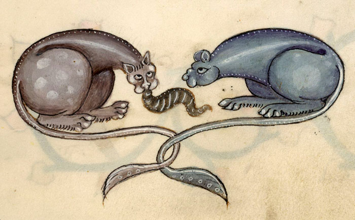 Two medieval cats with exaggerated features linked by a tail.