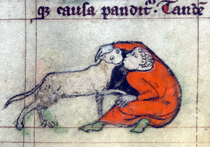 Medieval cat painting depicting a person in a red robe embracing an oddly drawn cat with text above.