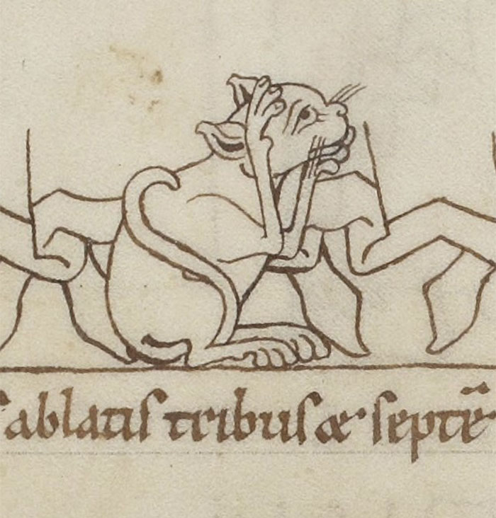 A humorous medieval cat drawing with exaggerated features, illustrating the quirky style of medieval animal art.