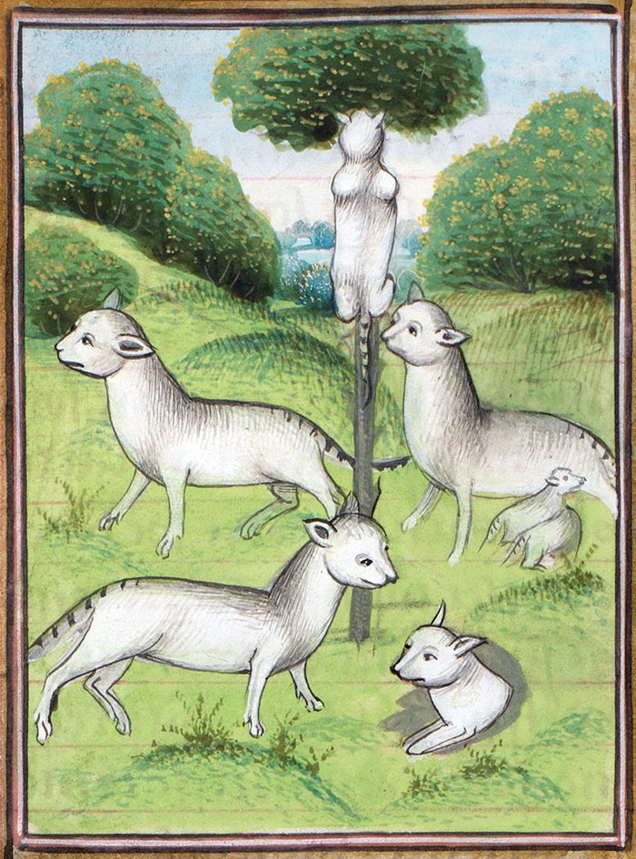 Ugly medieval cat painting with cats resembling sheep in a grassy landscape, illustrating humorous historical art interpretations.