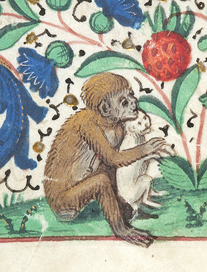 Medieval cat painting with humorous depiction, a monkey holding a cat amid colorful decorative foliage.