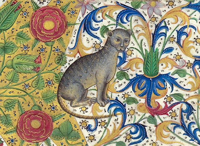 Ugly medieval cat painting with floral background, illustrating the humor in historical art depictions.