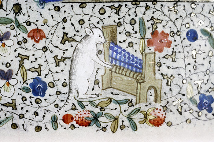 Medieval painting of an unusual white cat playing a small organ, surrounded by colorful floral patterns.