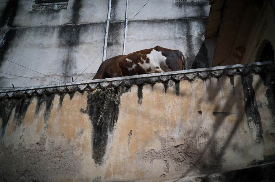 Unusual-Candid-Street-Photography-Hopscotch-Pau-Buscato