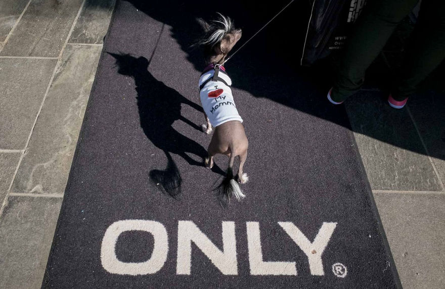 Unusual-Candid-Street-Photography-Hopscotch-Pau-Buscato