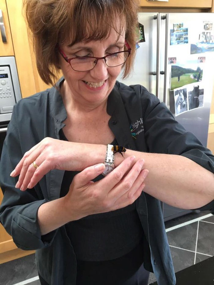 Woman Saves Wingless Bumblebee And Their Friendship Creates Buzz On The Internet Woman Saves Wingless Bumblebee And Their Friendship Creates Buzz On The Internet