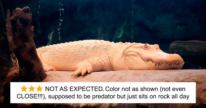 Zoos Are Posting Hilarious Amazon-Like Reviews Of Their Animals, And We Can’t Get Enough