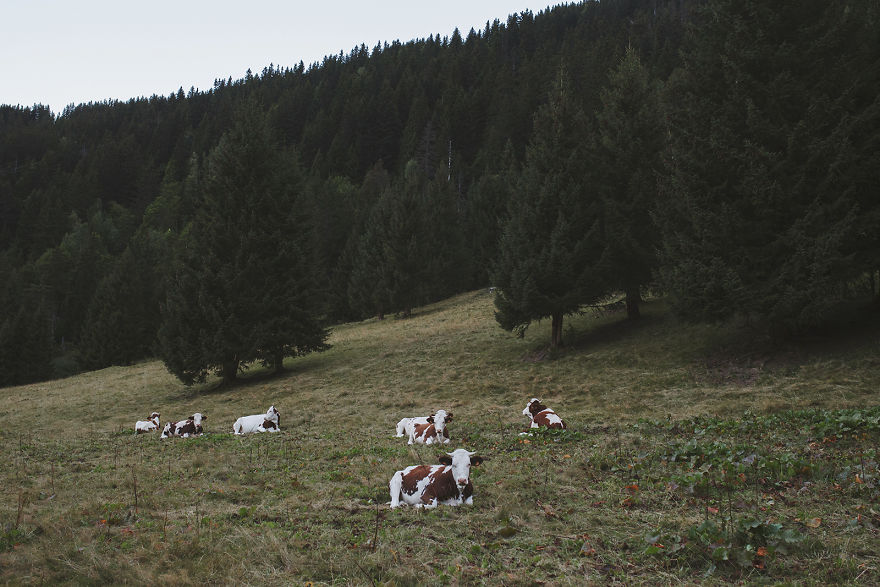 Tour Du Mont Blanc: Strolling At The Edge Of The World