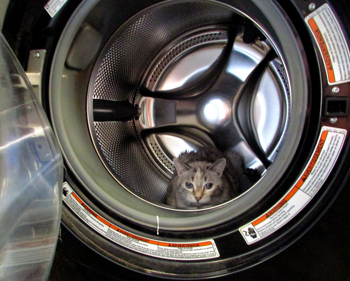 Oh, You Wanted To Do Laundry? Don't Care.