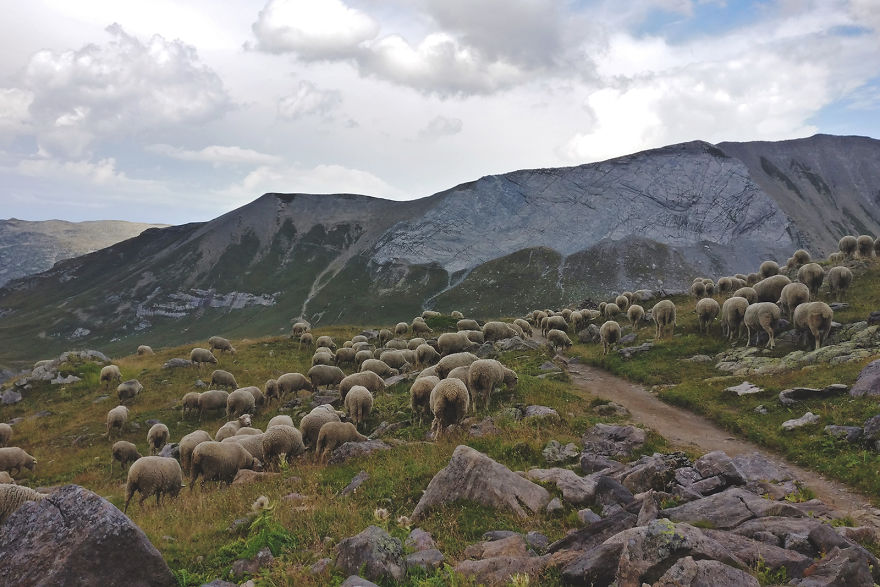 Tour Du Mont Blanc: Strolling At The Edge Of The World