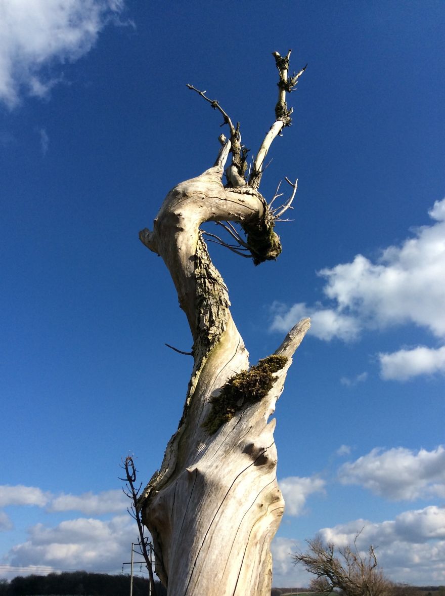 People, Places And Things