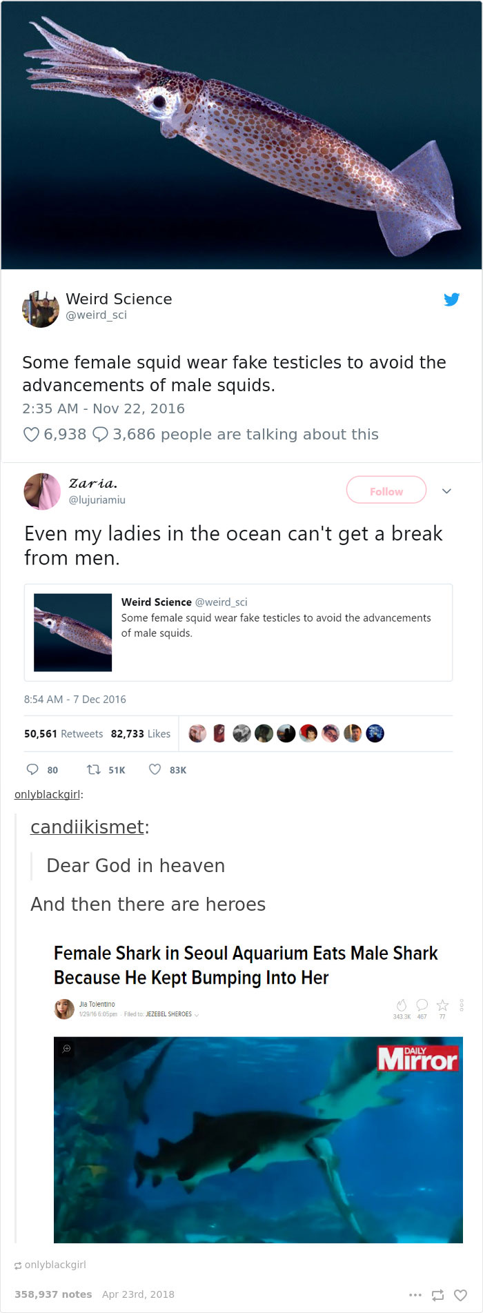 Funny-Tumblr-Feminists-Posts