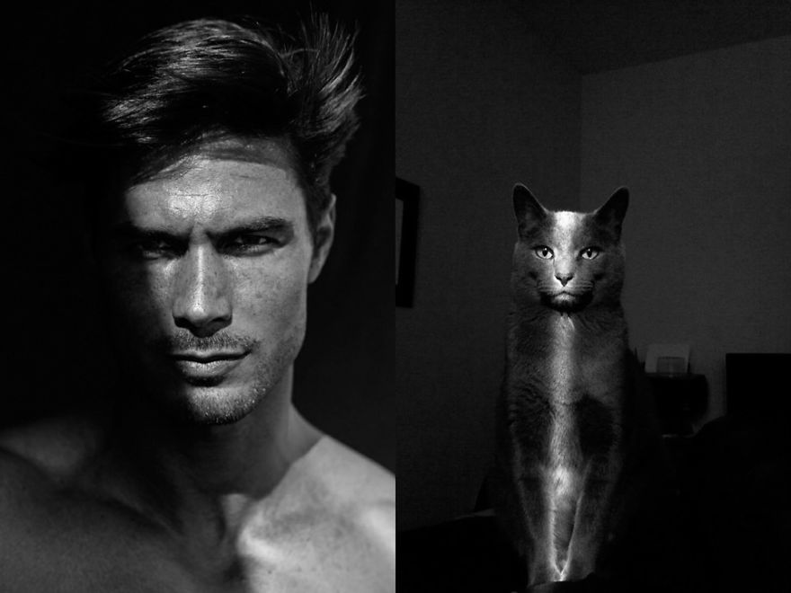 20+ Hilarious Photos Of Male Models And Cats Striking The Same Poses
