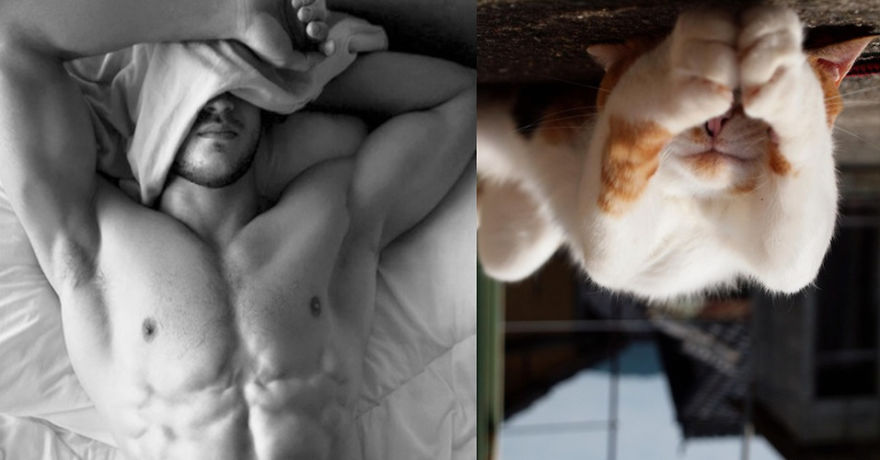 20+ Hilarious Photos Of Male Models And Cats Striking The Same Poses