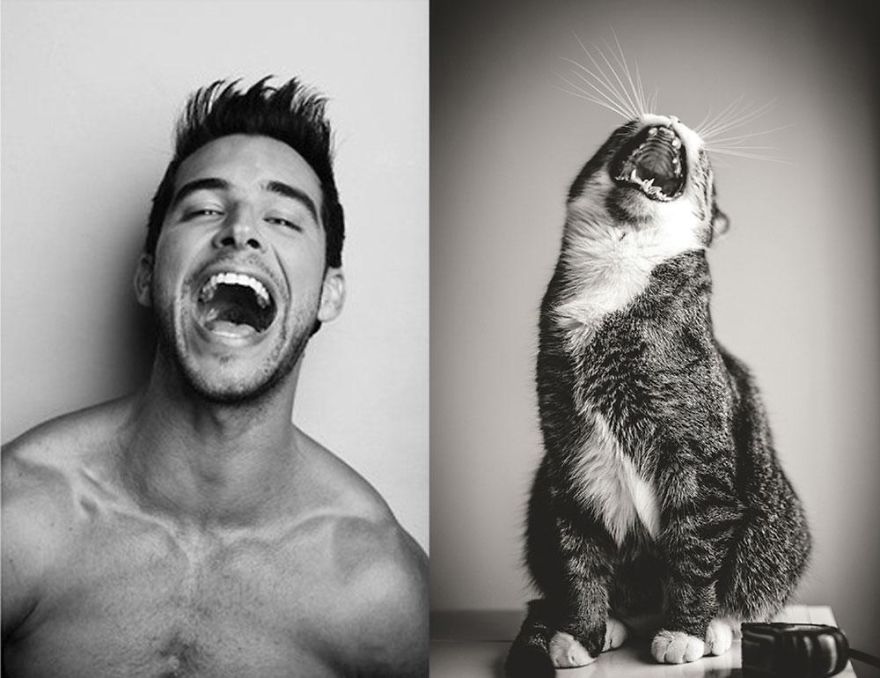 20+ Hilarious Photos Of Male Models And Cats Striking The Same Poses