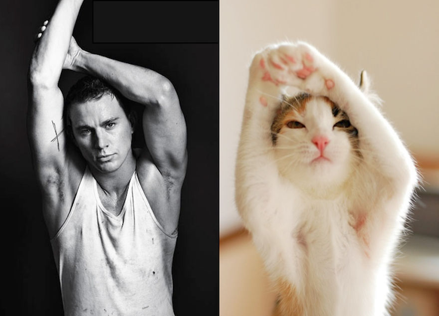 20+ Hilarious Photos Of Male Models And Cats Striking The Same Poses