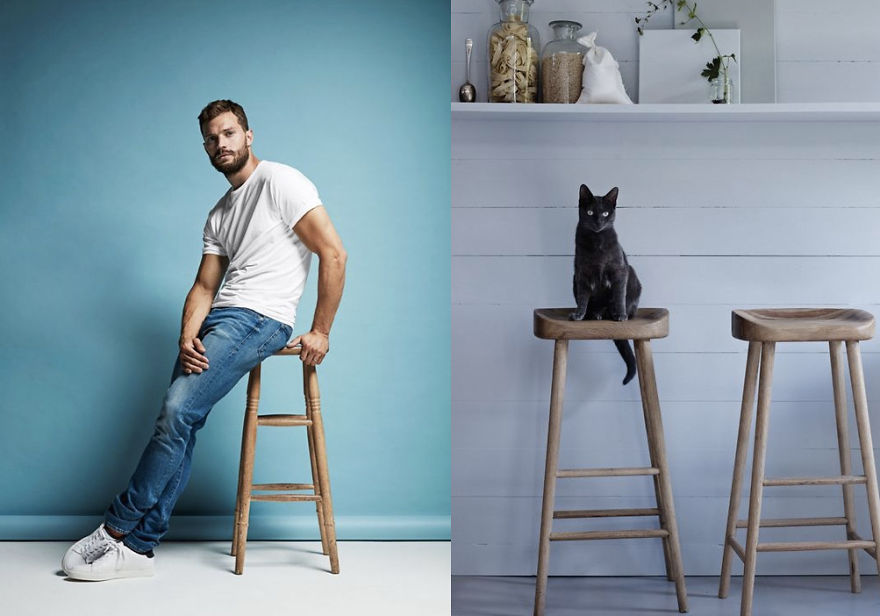 20+ Hilarious Photos Of Male Models And Cats Striking The Same Poses