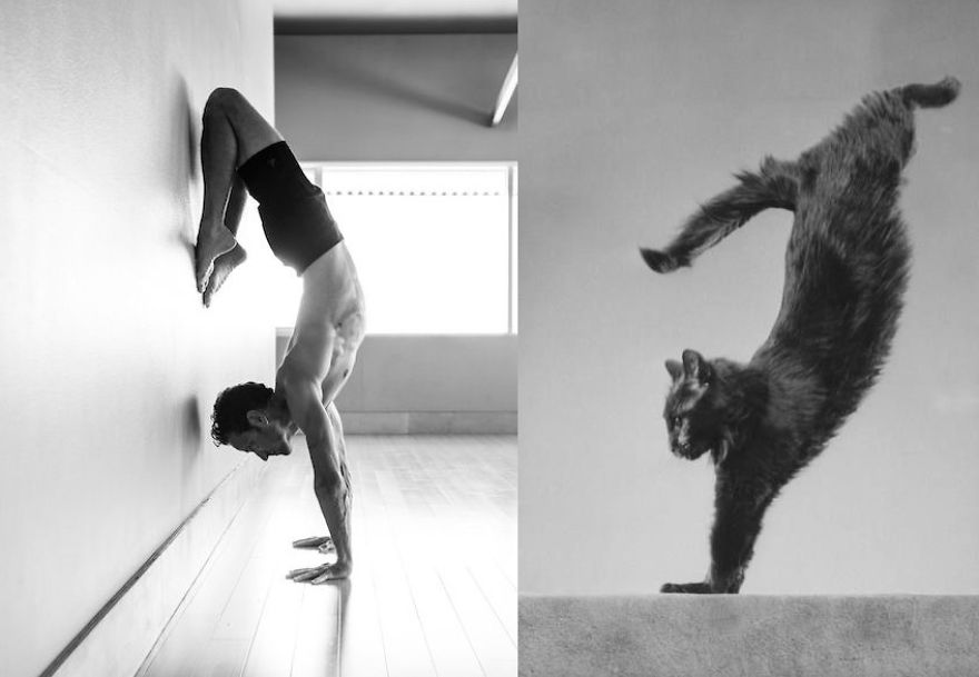 20+ Hilarious Photos Of Male Models And Cats Striking The Same Poses
