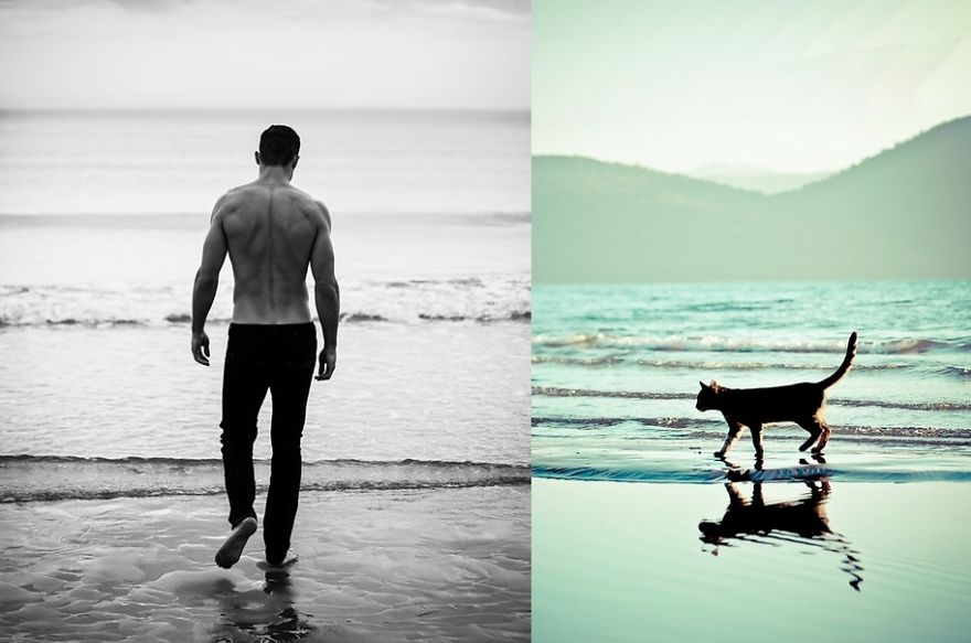 20+ Hilarious Photos Of Male Models And Cats Striking The Same Poses