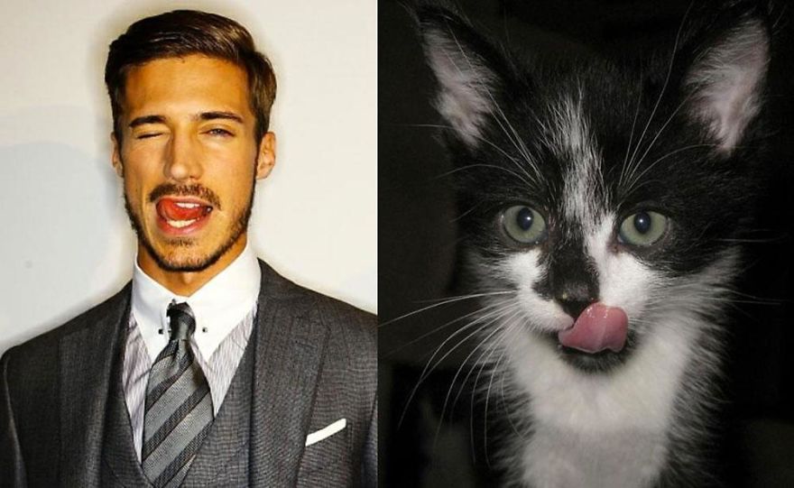 20+ Hilarious Photos Of Male Models And Cats Striking The Same Poses
