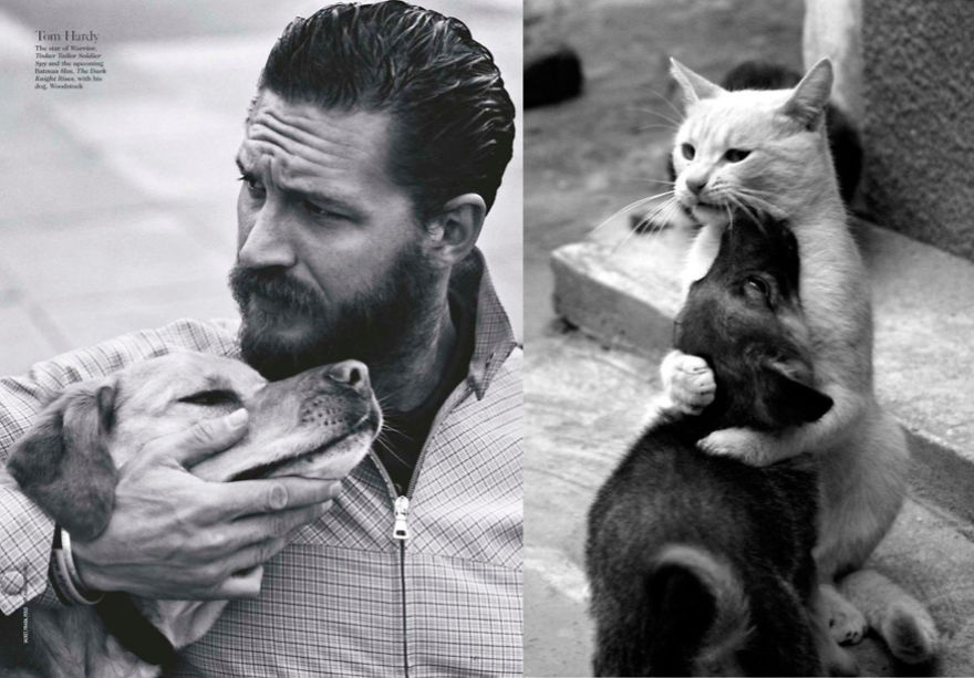 20+ Hilarious Photos Of Male Models And Cats Striking The Same Poses