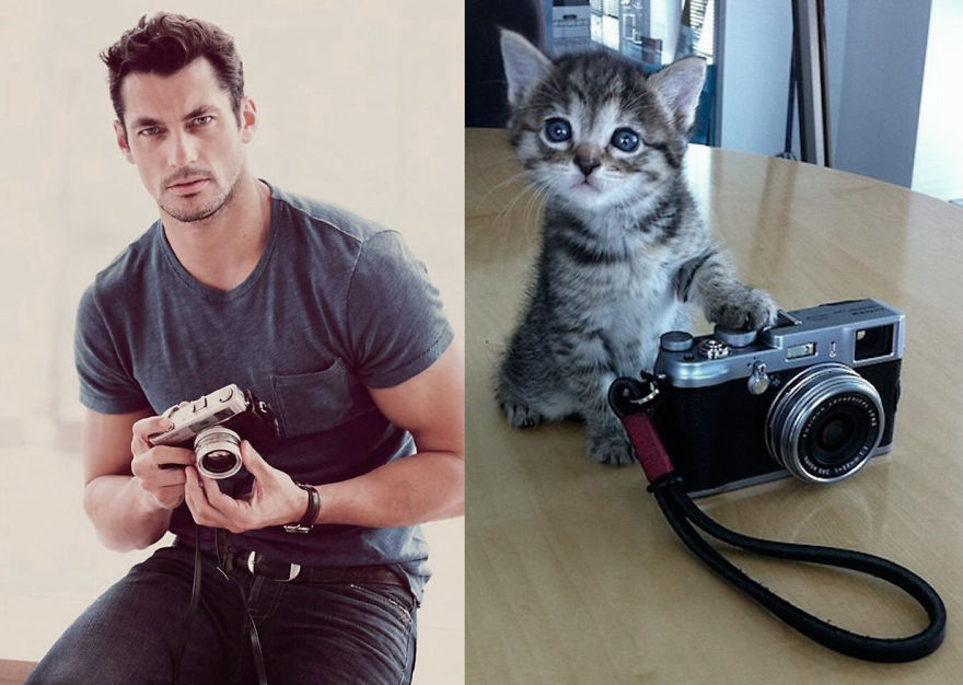 20+ Hilarious Photos Of Male Models And Cats Striking The Same Poses