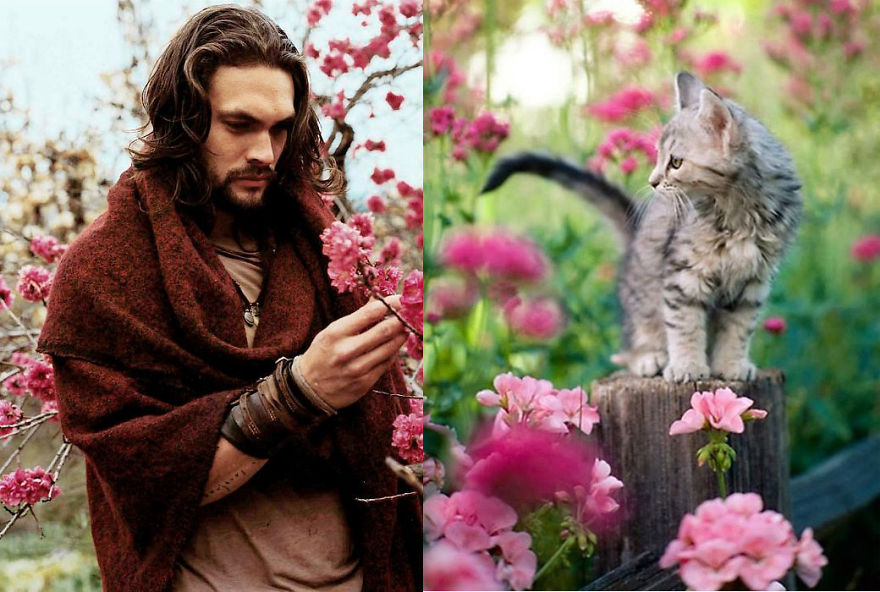 20+ Hilarious Photos Of Male Models And Cats Striking The Same Poses