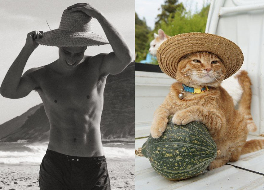 20+ Hilarious Photos Of Male Models And Cats Striking The Same Poses