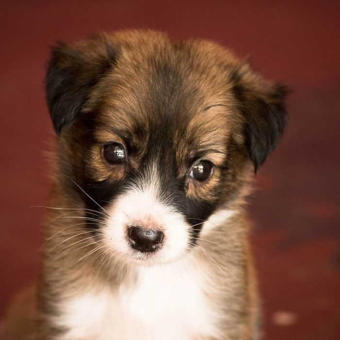 That Reaction When You Mess With Him