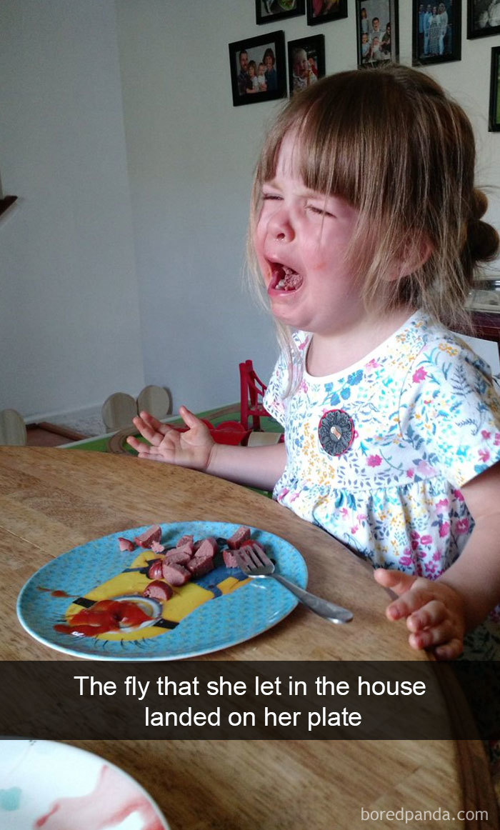 The Fly That She Let In The House Landed On Her Plate