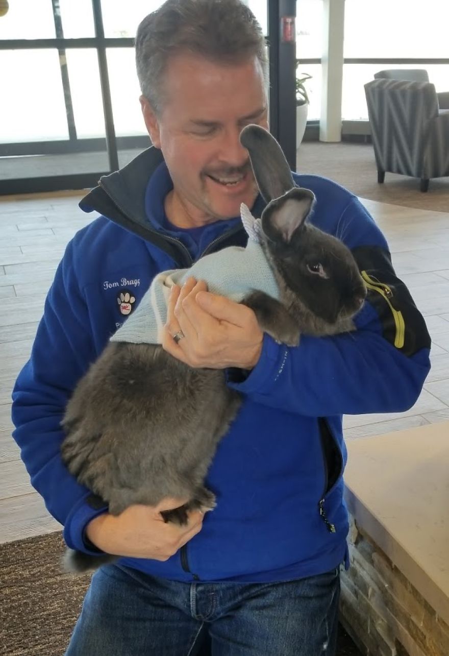 Love At First Flight – Our True Easter Bunny Blessing Love At First Flight – Our True Easter Bunny Blessing