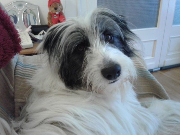 Lily (Also Known As Lillian, Lil, Lilyloo, Loulou)