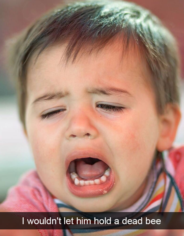 I Wouldn't Let Him Hold A Dead Bee