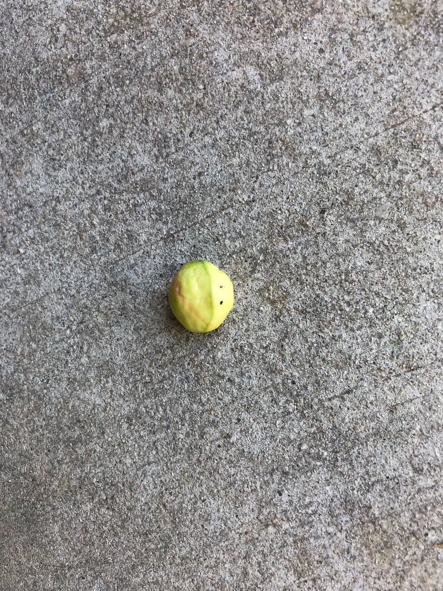 I Draw On Rocks :) I Draw On Rocks :)