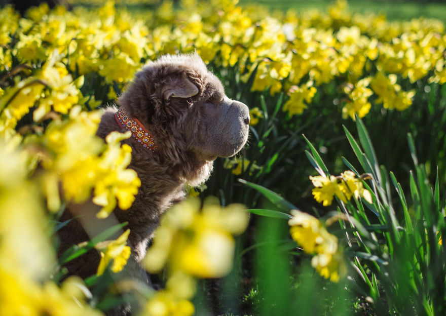 Londoner Bear Cub Looking For Adventures Londoner Bear Cub Looking For Adventures