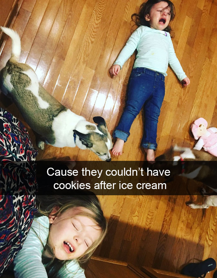 Cause They Couldn’t Have Cookies After Ice Cream