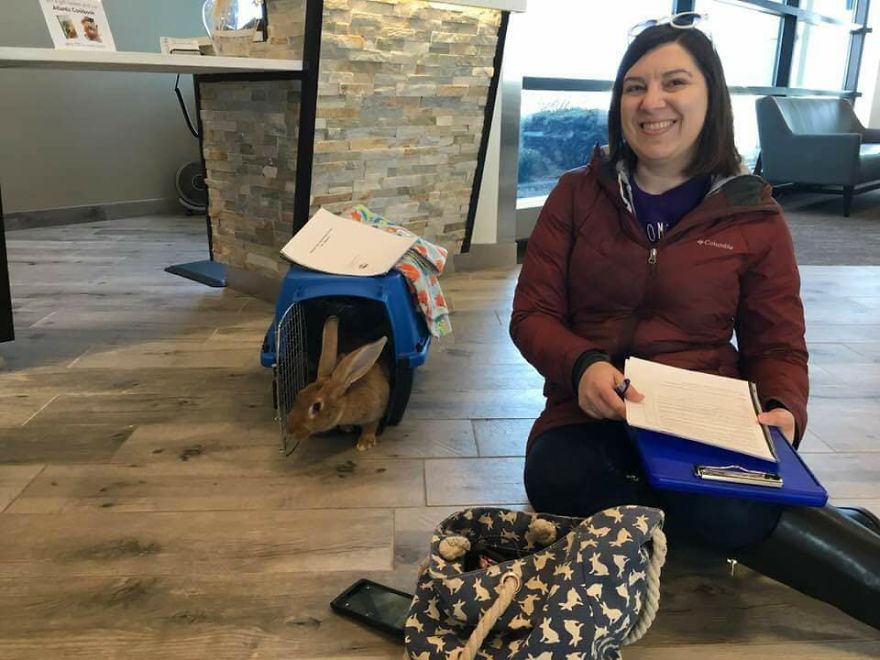 Love At First Flight &ndash; Our True Easter Bunny Blessing