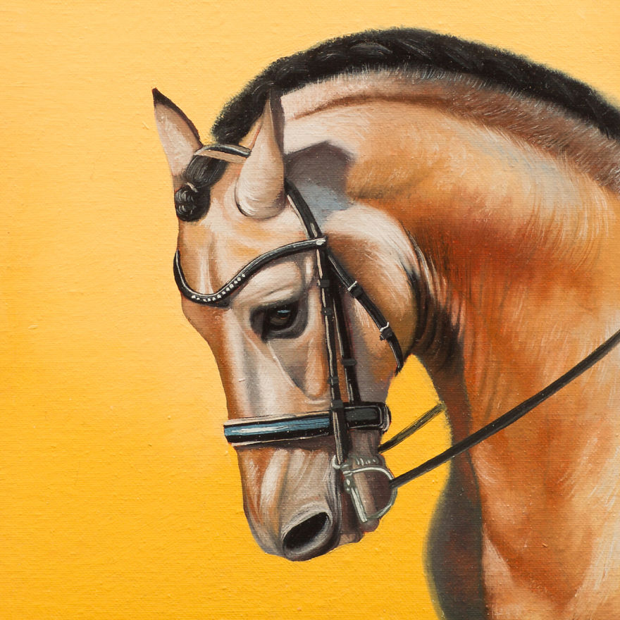 365 Horse Portraits In 365 Days