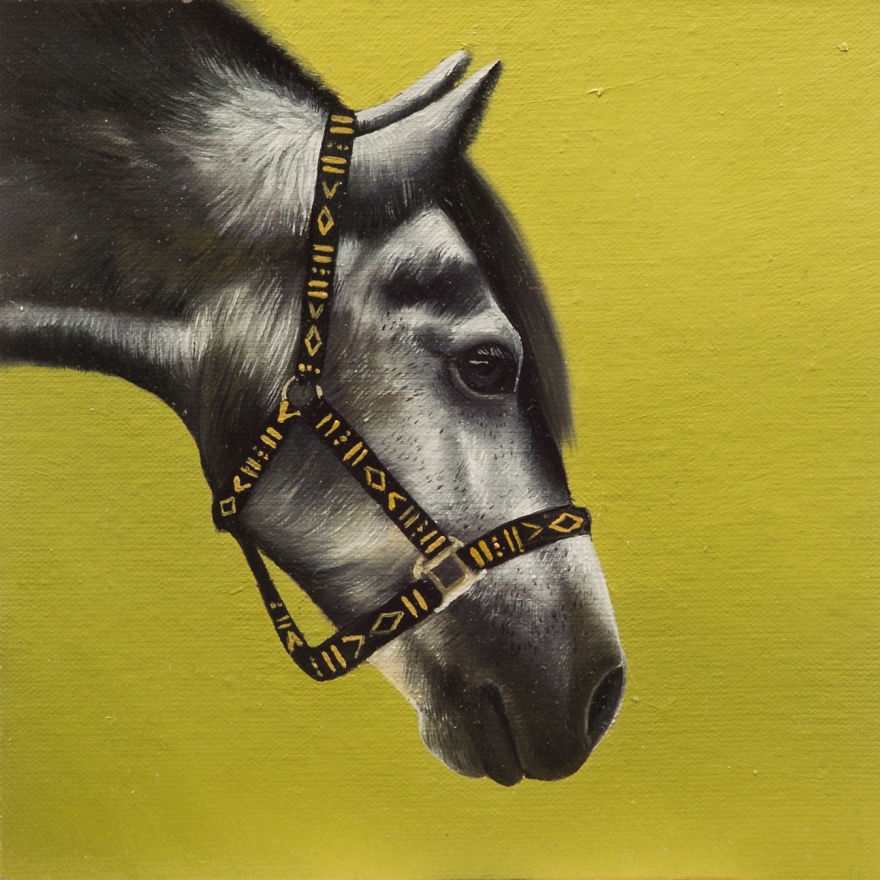 365 Horse Portraits In 365 Days