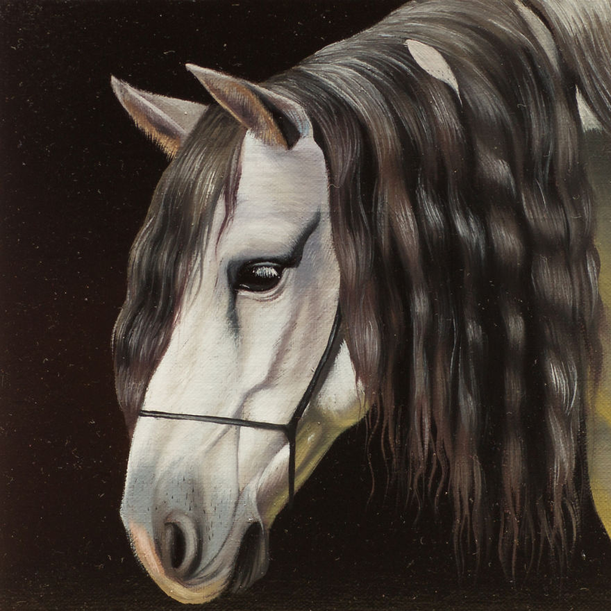 365 Horse Portraits In 365 Days