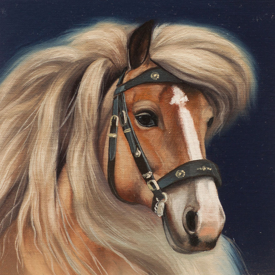 365 Horse Portraits In 365 Days