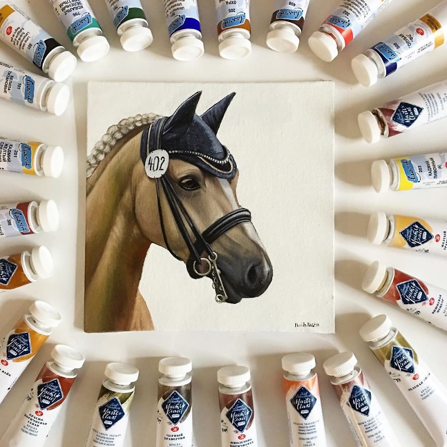 365 Horse Portraits In 365 Days