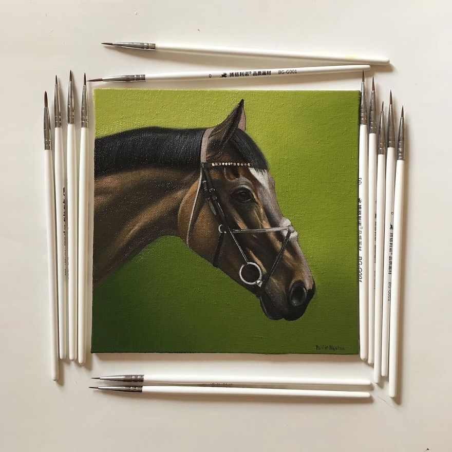 365 Horse Portraits In 365 Days