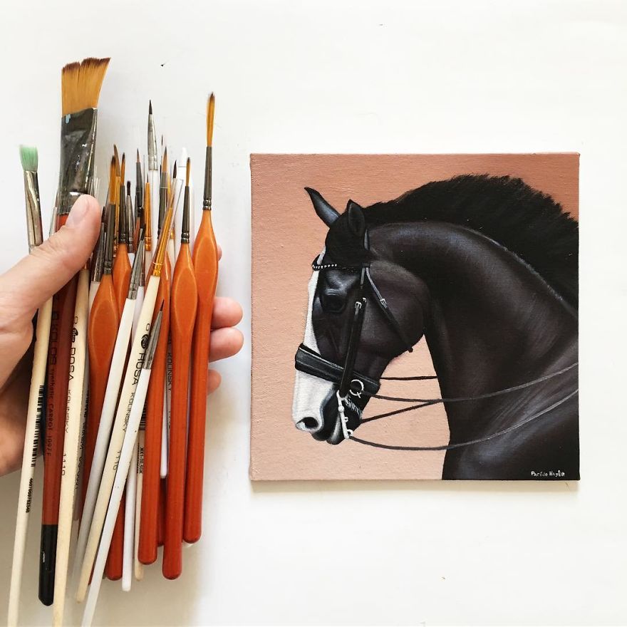 365 Horse Portraits In 365 Days