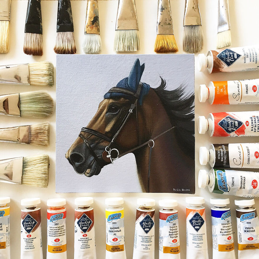 365 Horse Portraits In 365 Days