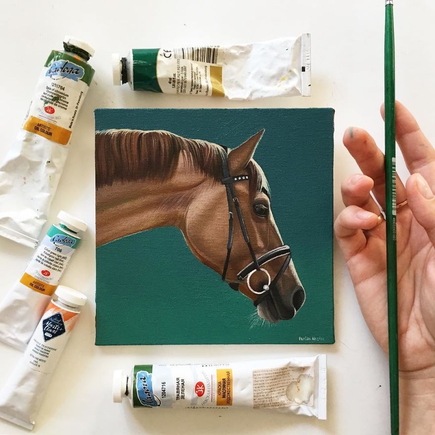 365 Horse Portraits In 365 Days