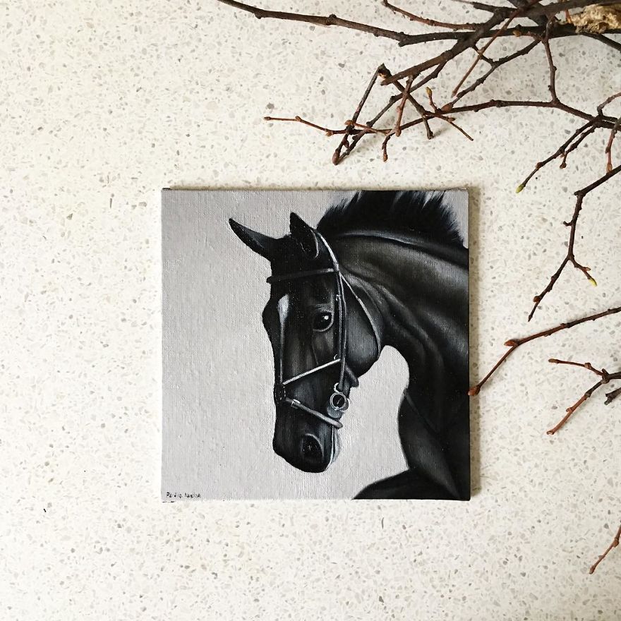 365 Horse Portraits In 365 Days