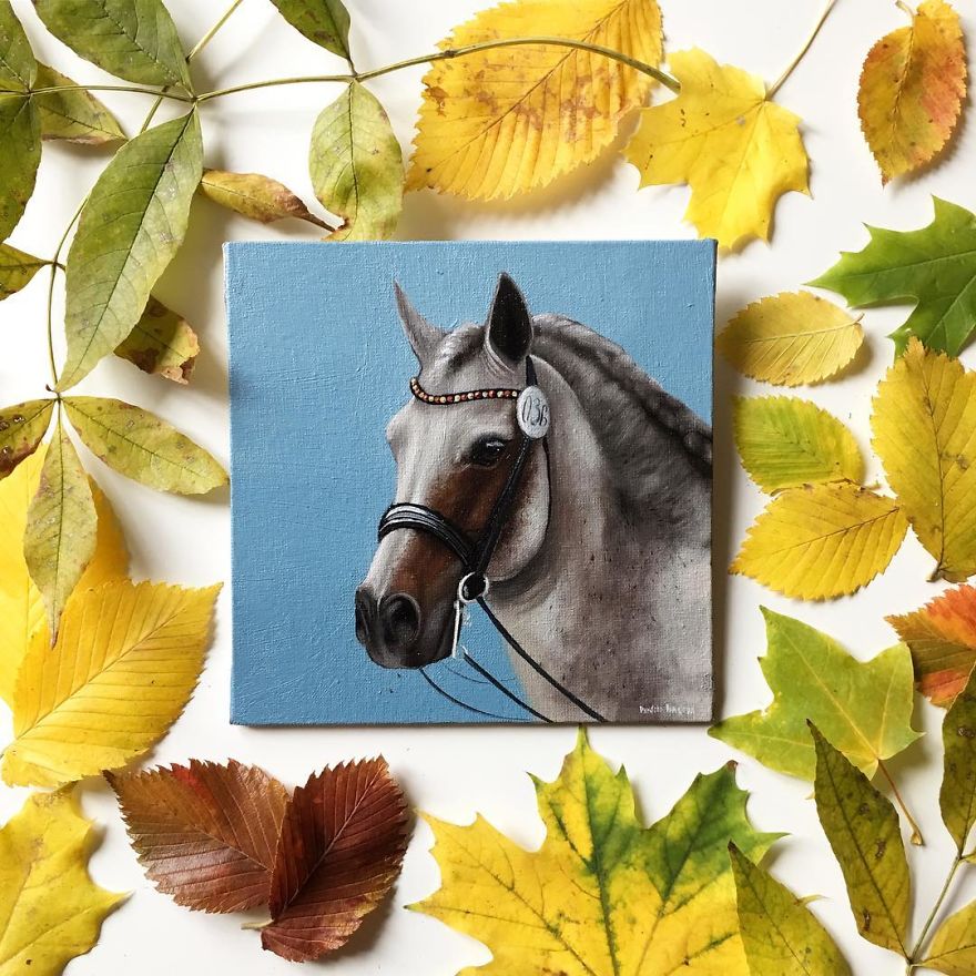 365 Horse Portraits In 365 Days