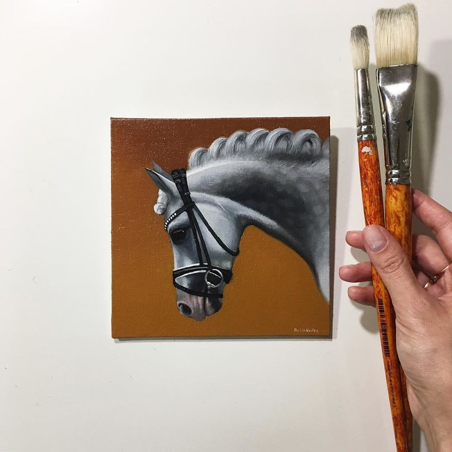 365 Horse Portraits In 365 Days