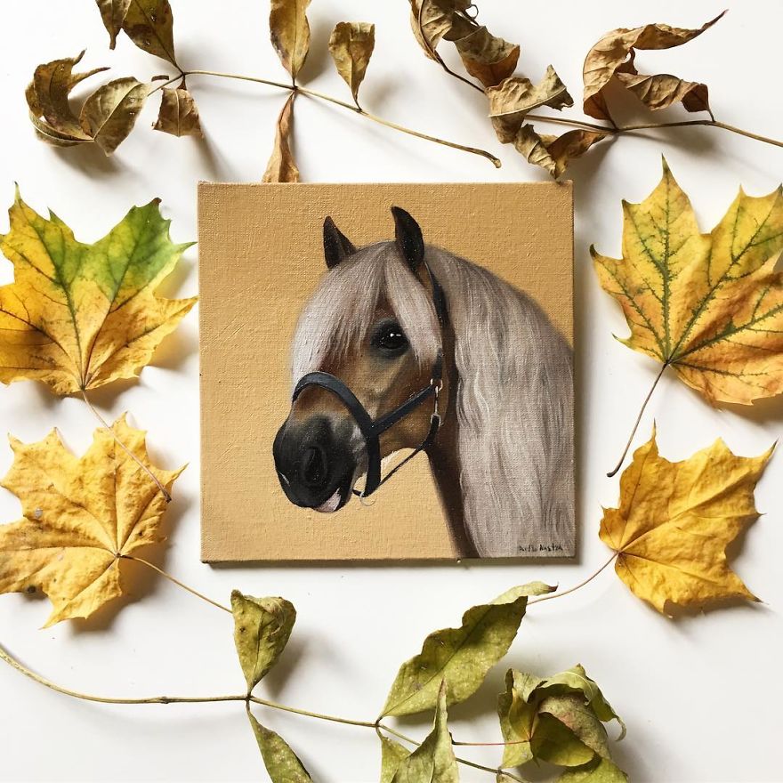365 Horse Portraits In 365 Days